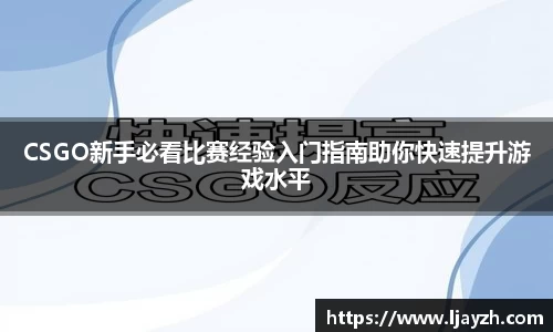 333体育官网