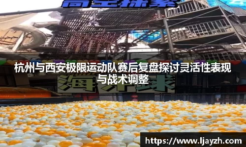 333体育官网