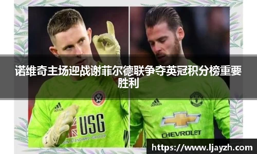 诺维奇主场迎战谢菲尔德联争夺英冠积分榜重要胜利