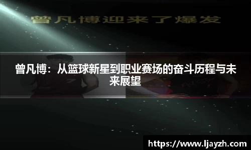 333体育官网